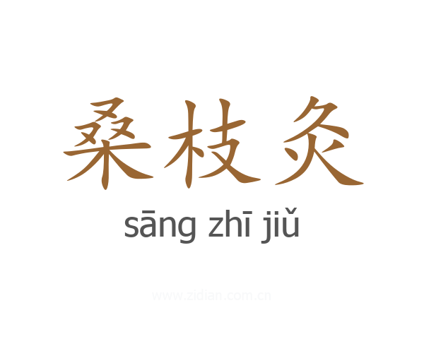 桑枝灸