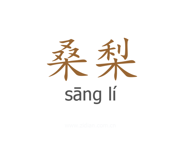 桑梨
