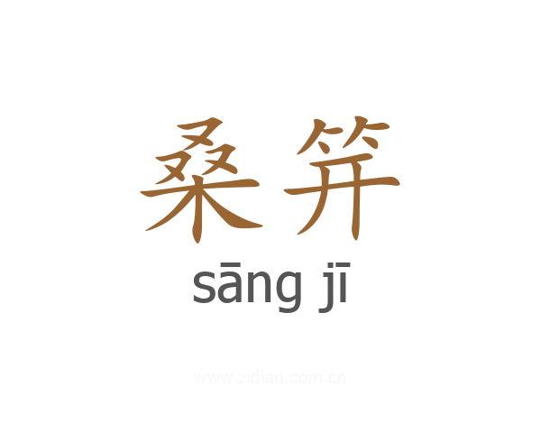 桑笄