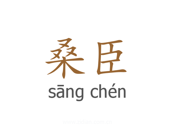 桑臣