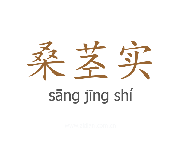 桑茎实