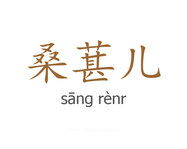 桑葚儿