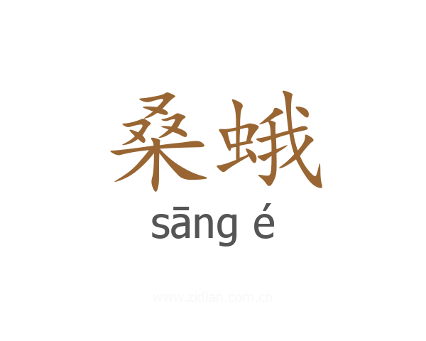 桑蛾