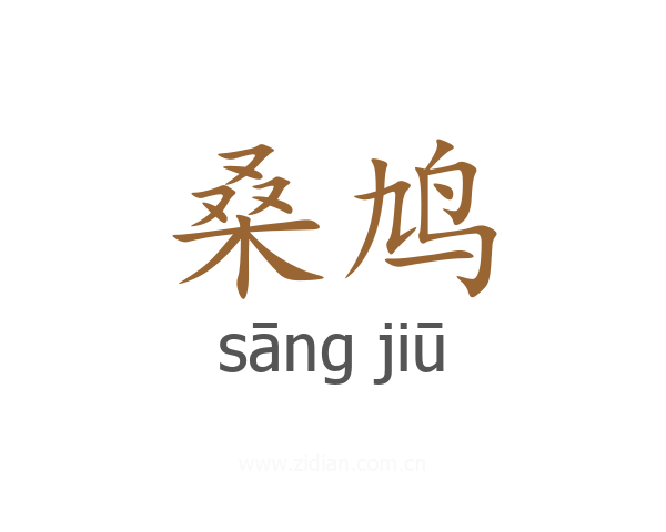 桑鸠