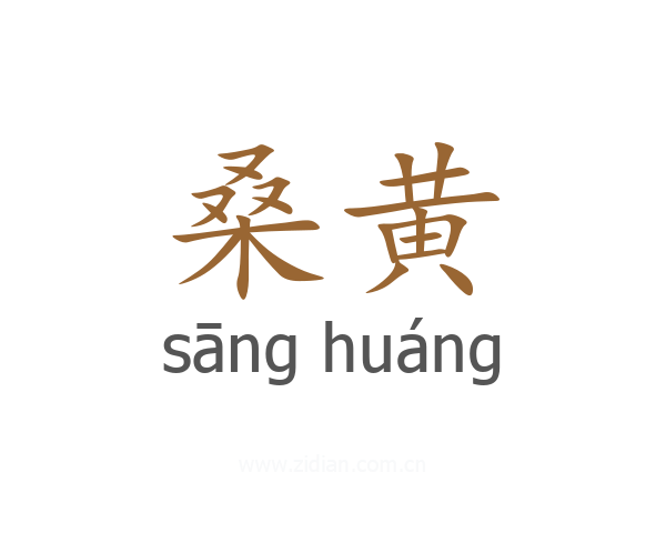 桑黄