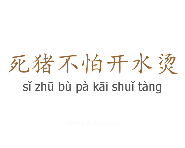 死猪不怕开水烫