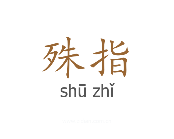 殊指