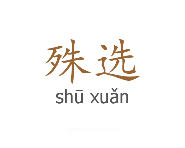 殊选