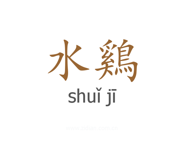 水鷄