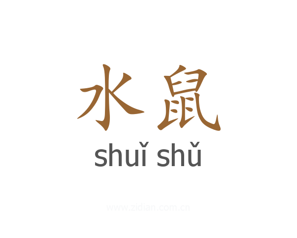 水鼠