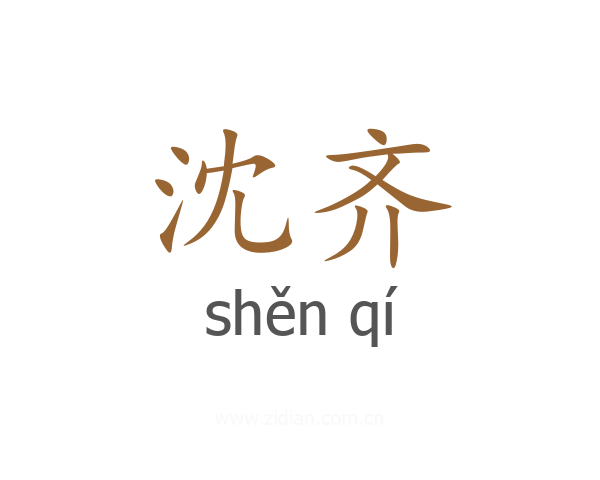 沈齐