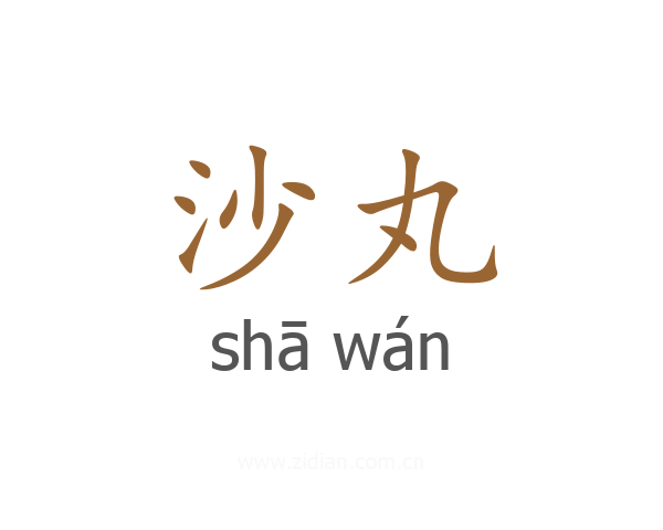 沙丸