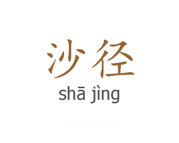 沙径