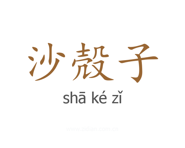 沙殻子
