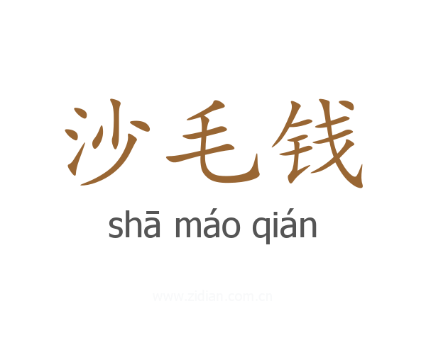 沙毛钱