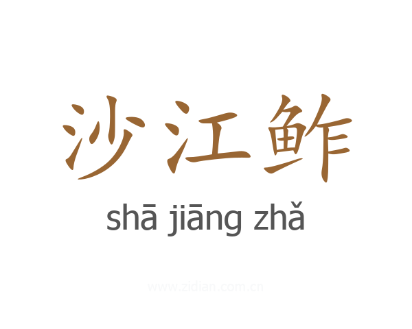 沙江鲊