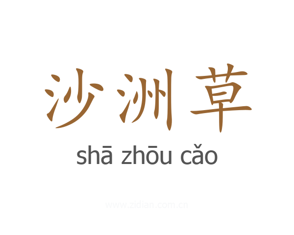 沙洲草