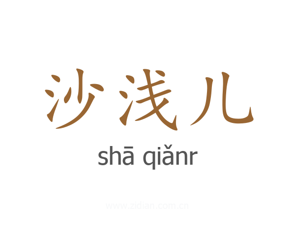 沙浅儿
