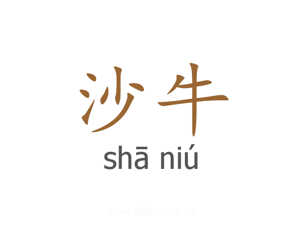 沙牛