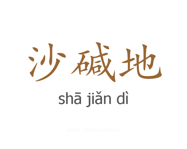 沙碱地