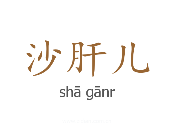 沙肝儿