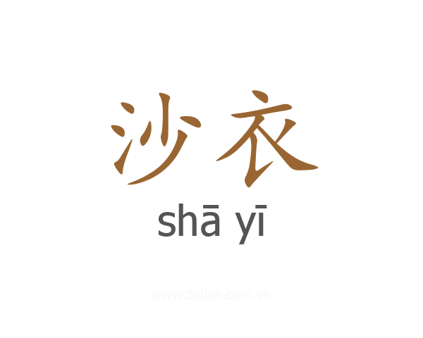 沙衣