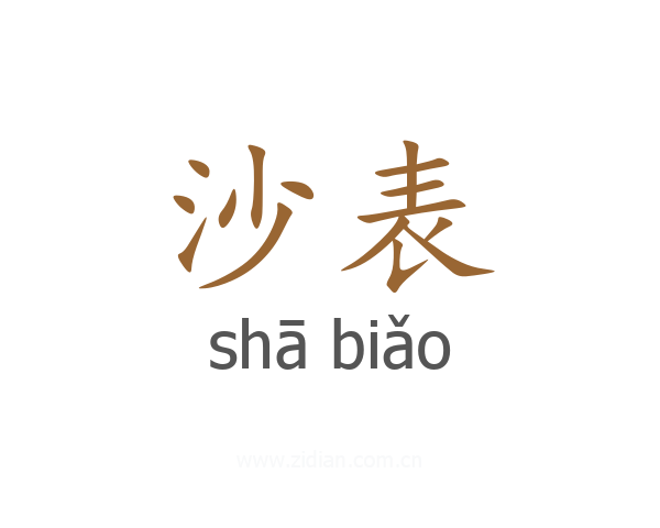 沙表