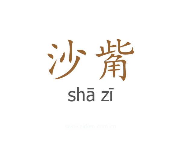 沙觜