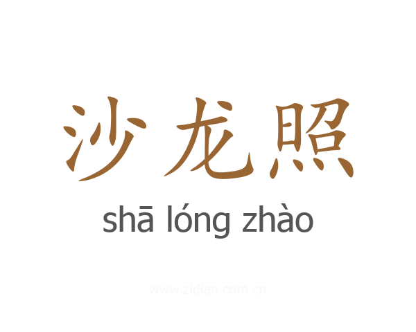 沙龙照
