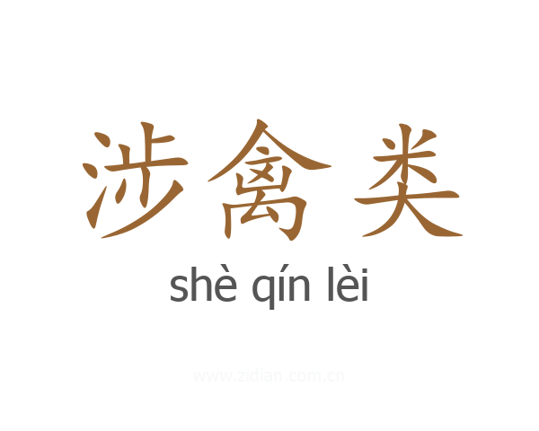 涉禽类