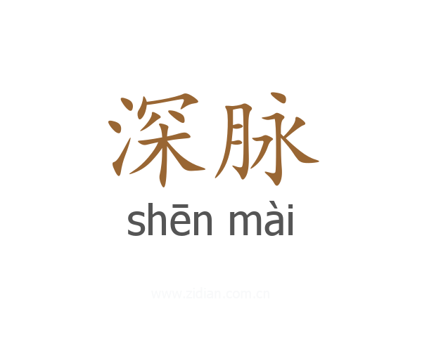 深脉