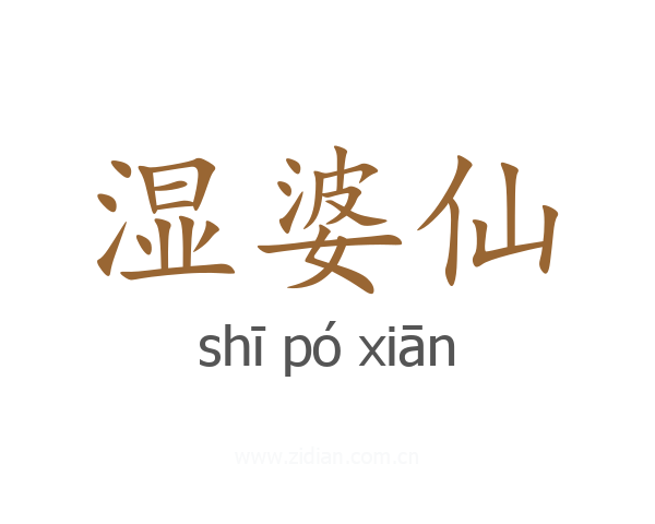 湿婆仙