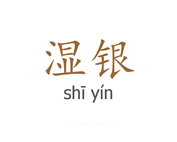 湿银