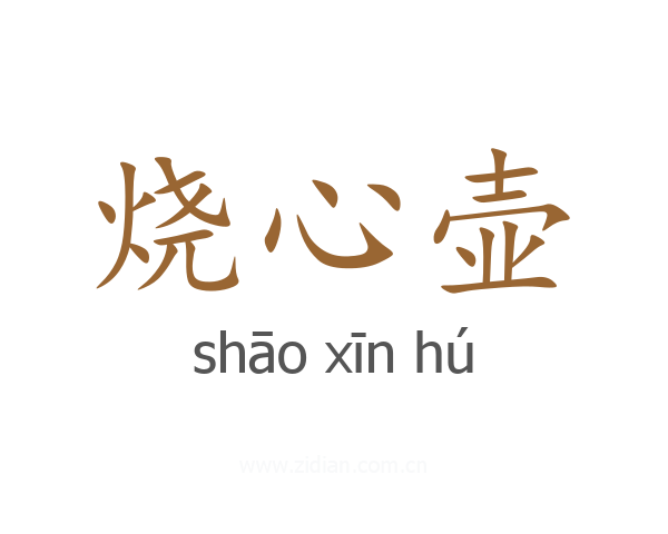 烧心壶