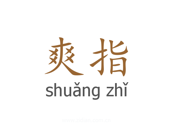 爽指