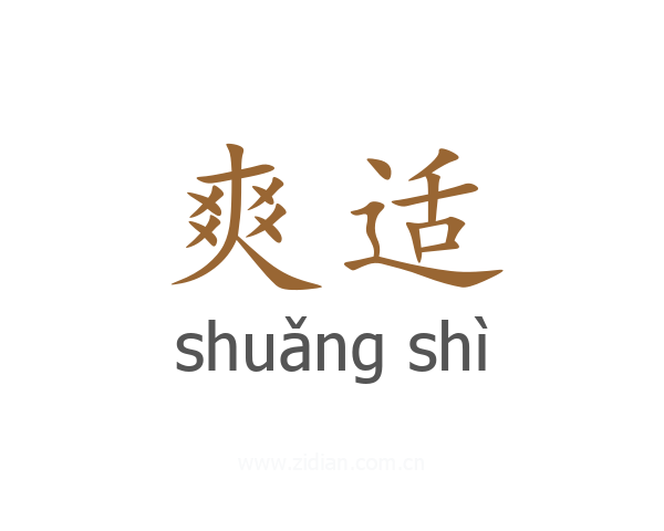 爽适
