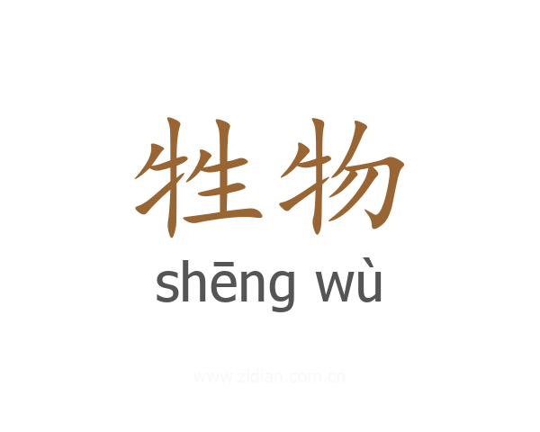 牲物