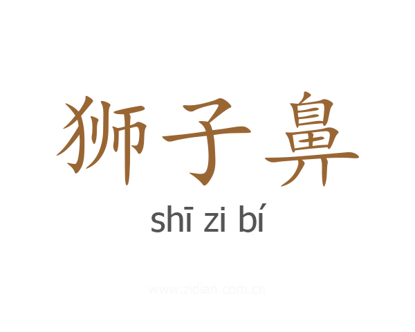 狮子鼻