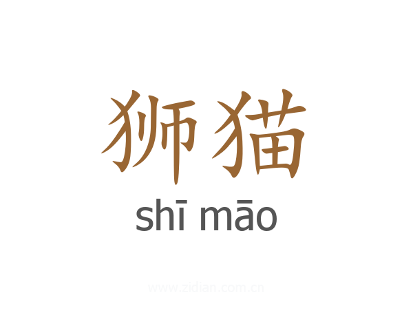 狮猫