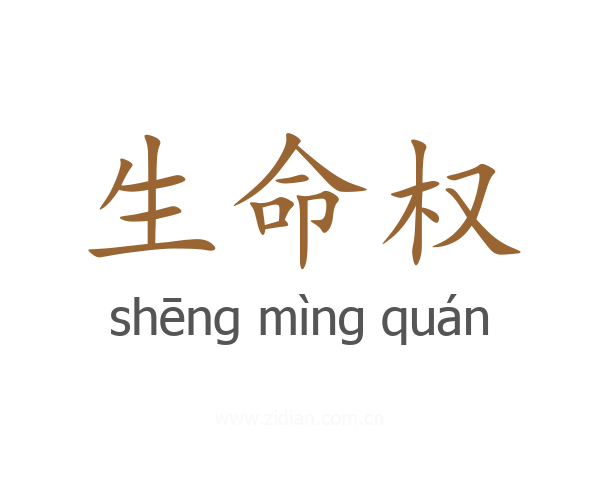生命权