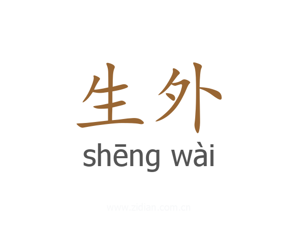 生外