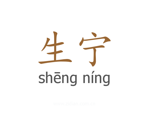 生宁
