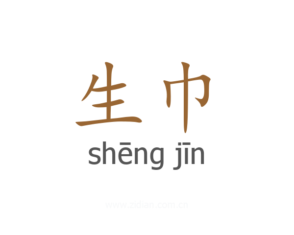 生巾
