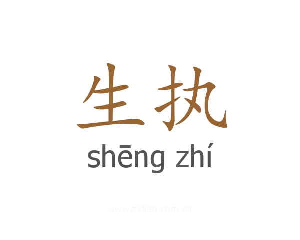 生执