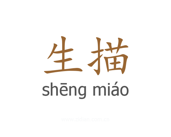 生描