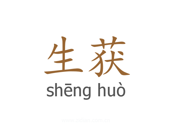 生获