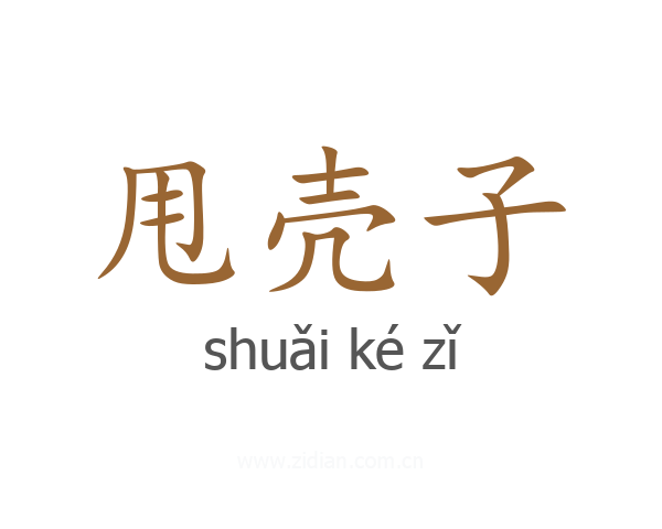 甩壳子