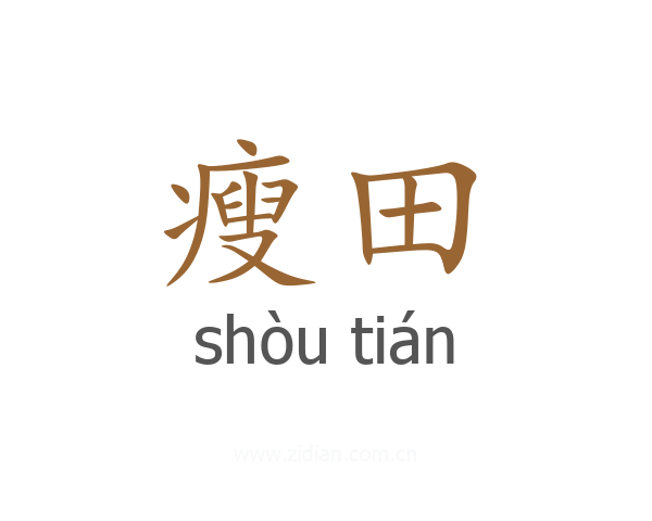 瘦田