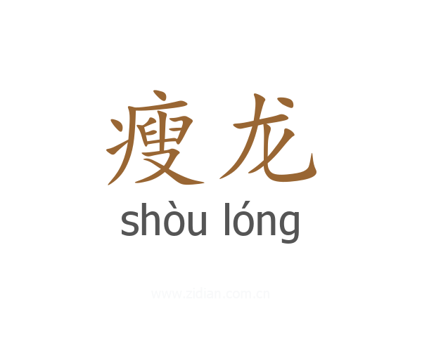 瘦龙