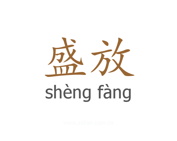 盛放